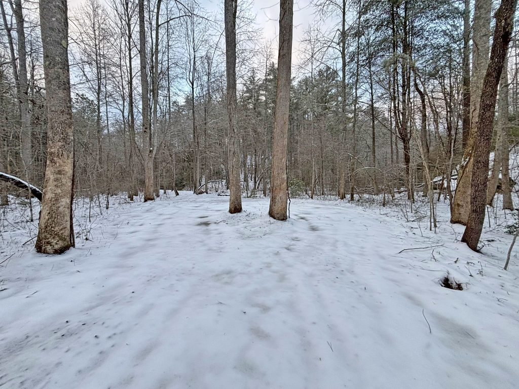 IMG 0649
