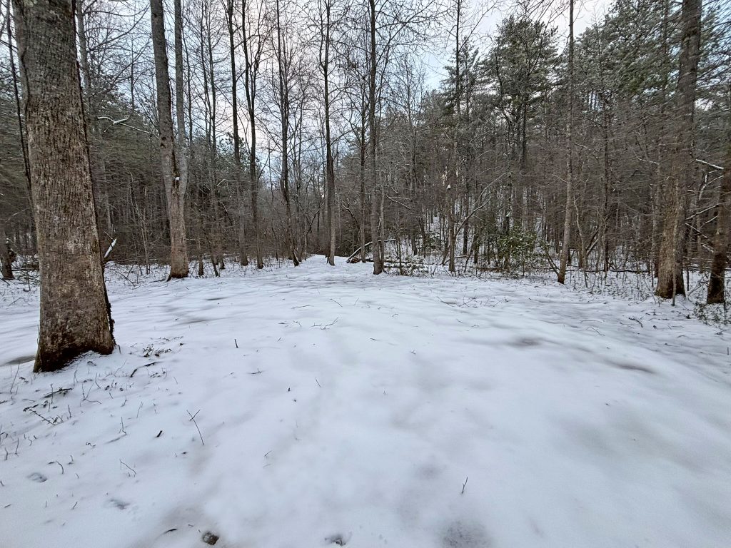 IMG 0650