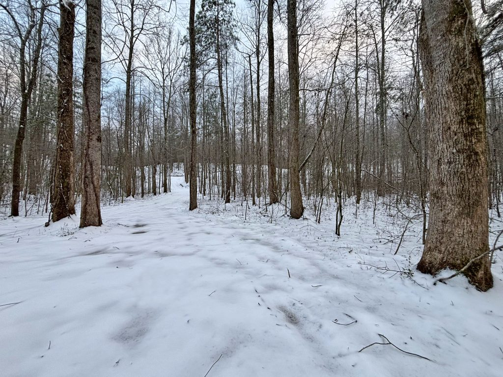 IMG 0651