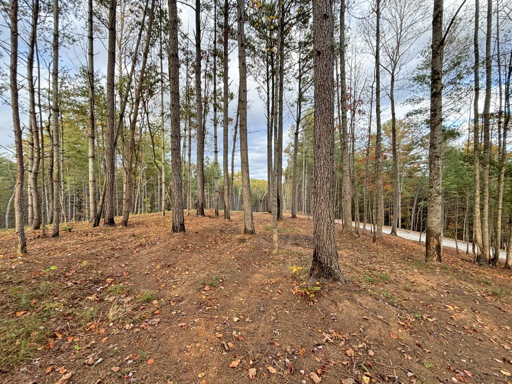 Lot 1 Mount Springer Rd Ellijay GA 10