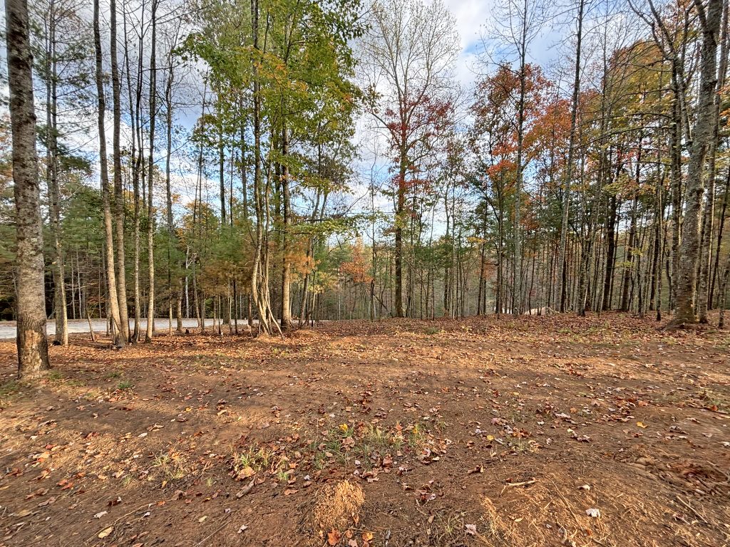 Lot 1 Mount Springer Rd Ellijay GA 11