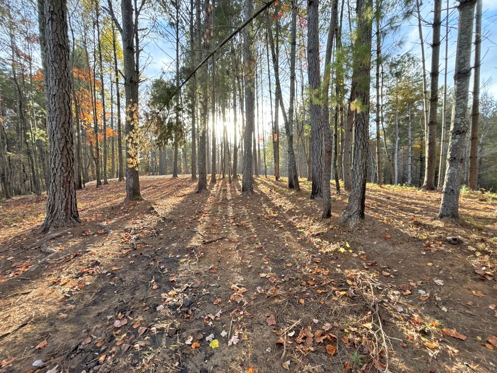 Lot 1 Mount Springer Rd Ellijay GA 12