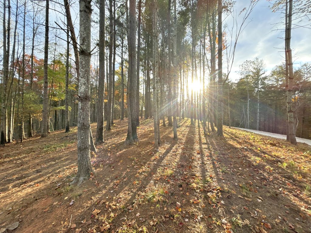Lot 1 Mount Springer Rd Ellijay GA 14