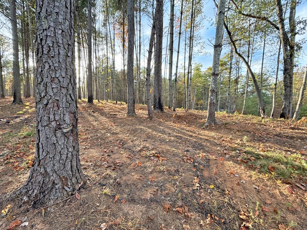 Lot 1 Mount Springer Rd Ellijay GA 17