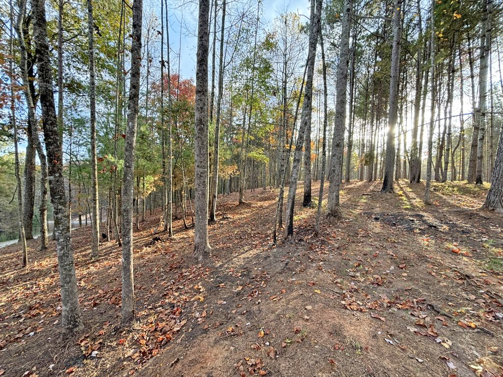 Lot 1 Mount Springer Rd Ellijay GA 18