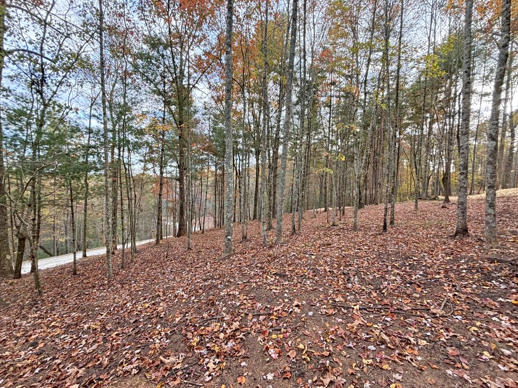 Lot 1 Mount Springer Rd Ellijay GA 19