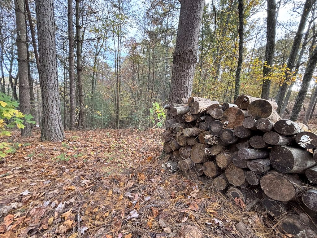 Lot 1 Mount Springer Rd Ellijay GA 20