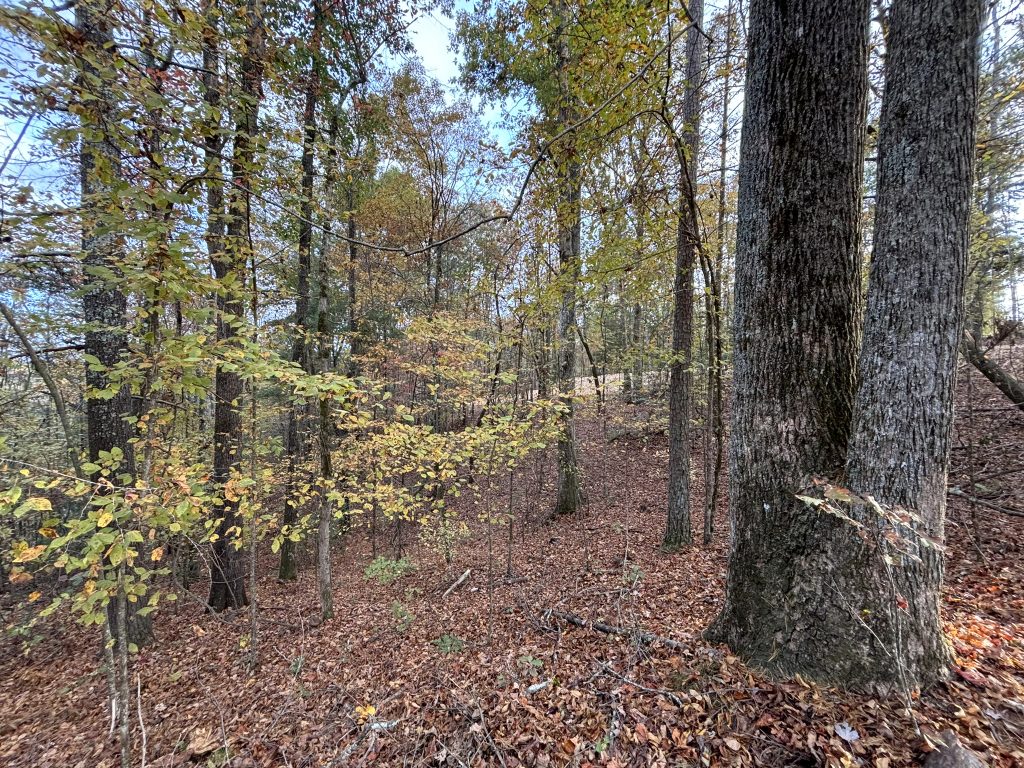 Lot 1 Mount Springer Rd Ellijay GA 21
