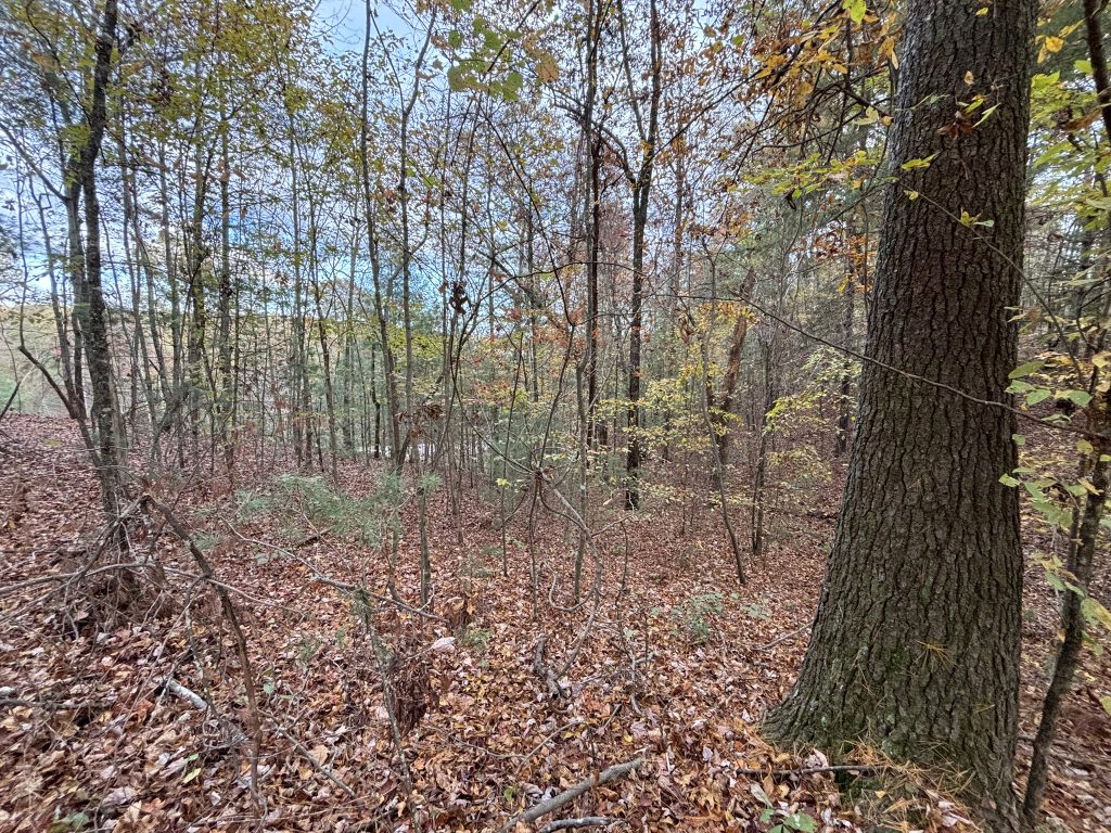 Lot 1 Mount Springer Rd Ellijay GA 23