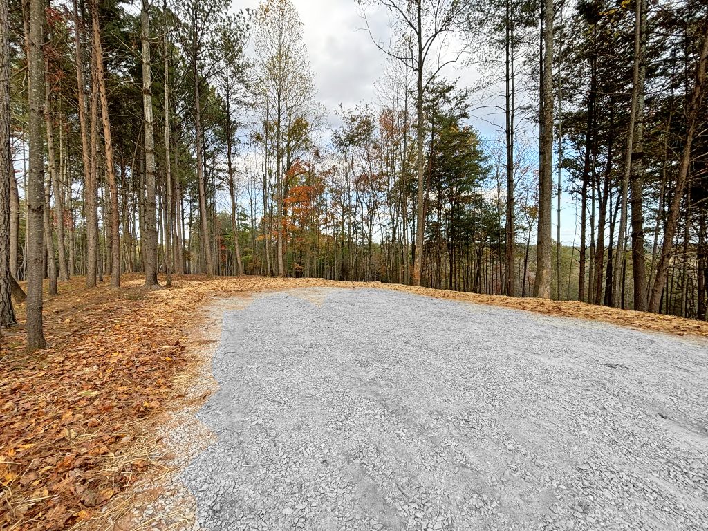 Lot 1 Mount Springer Rd Ellijay GA 4