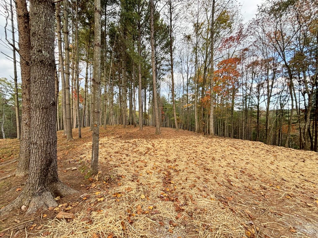 Lot 1 Mount Springer Rd Ellijay GA 5