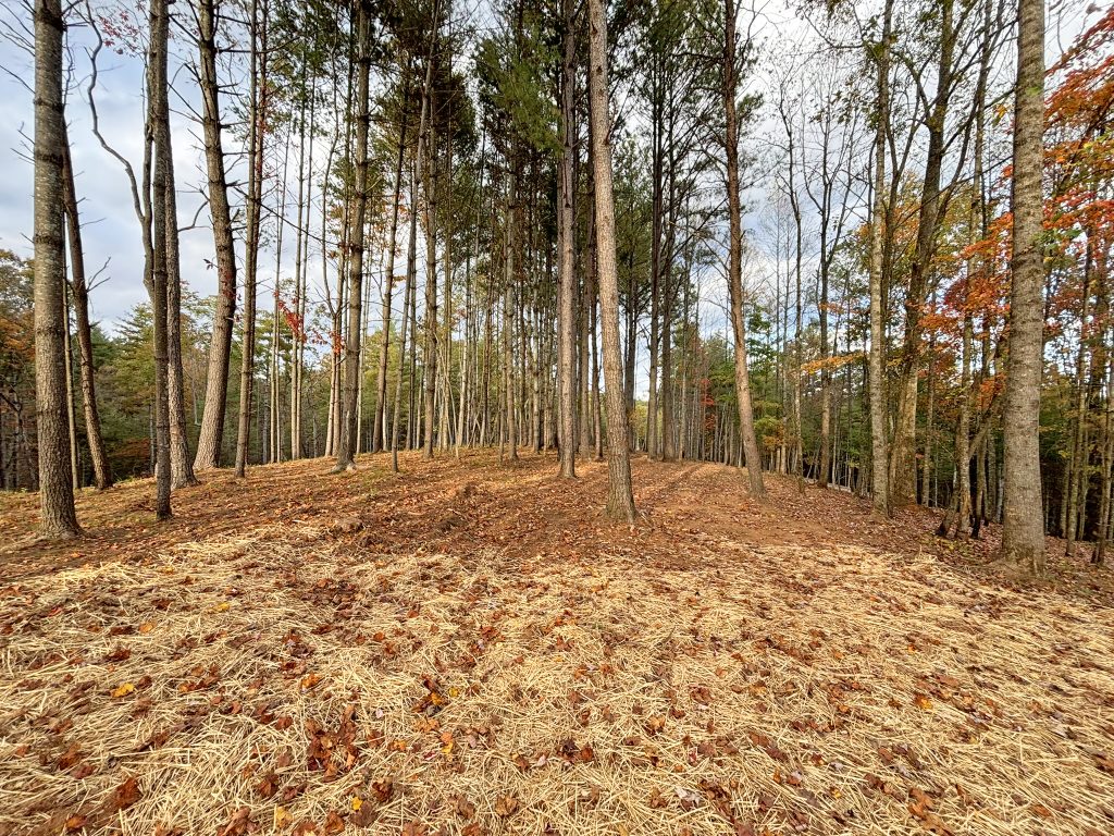 Lot 1 Mount Springer Rd Ellijay GA 6