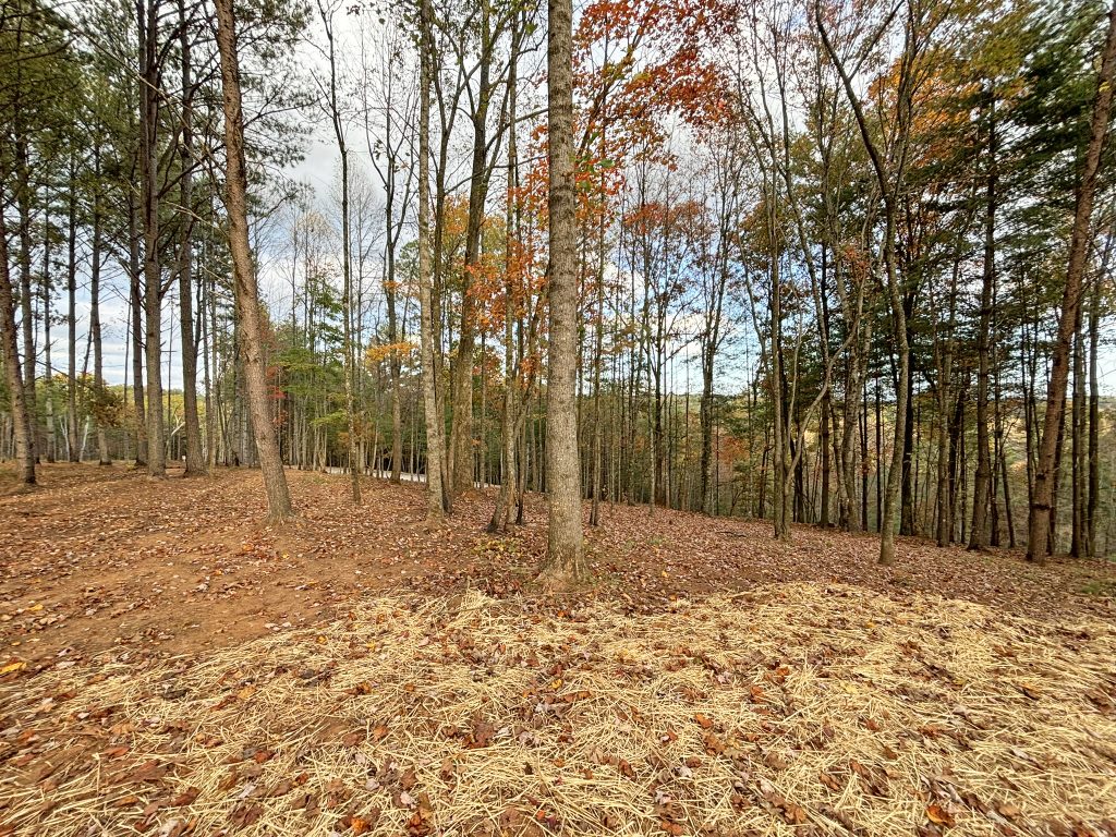 Lot 1 Mount Springer Rd Ellijay GA 7