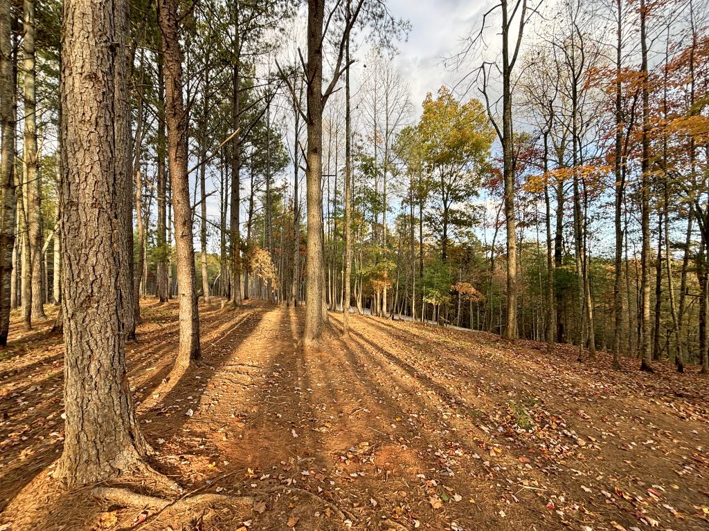 Lot 1 Mount Springer Rd Ellijay GA 8