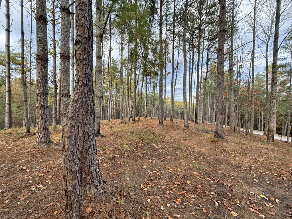 Lot 1 Mount Springer Rd Ellijay GA 9