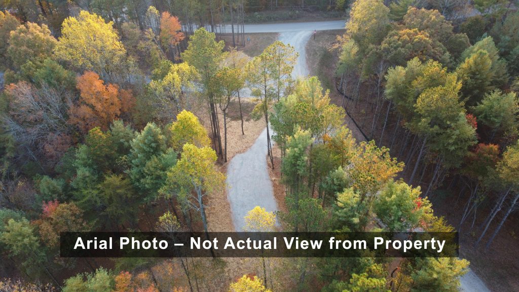 Lot 1 Mount Springer Rd Ellijay GA Air 1