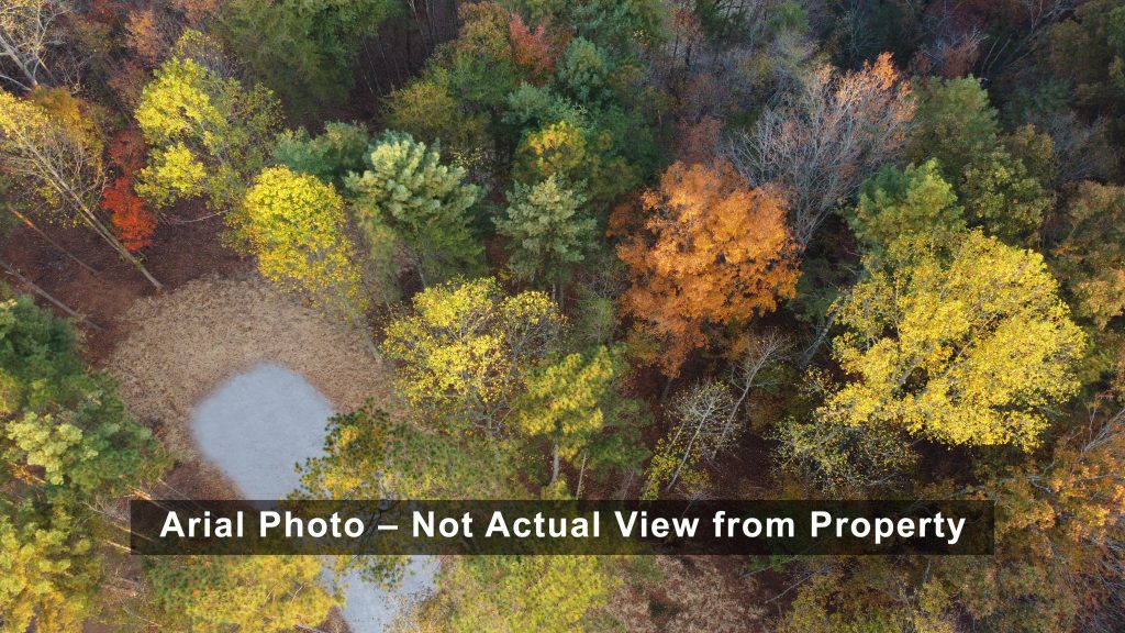 Lot 1 Mount Springer Rd Ellijay GA Air 4
