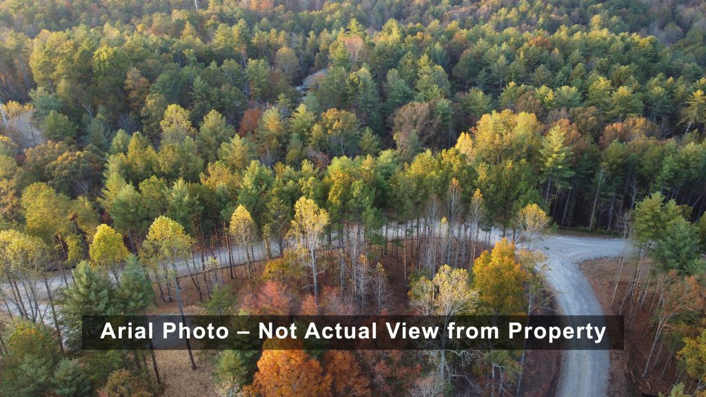 Lot 1 Mount Springer Rd Ellijay GA Air 6