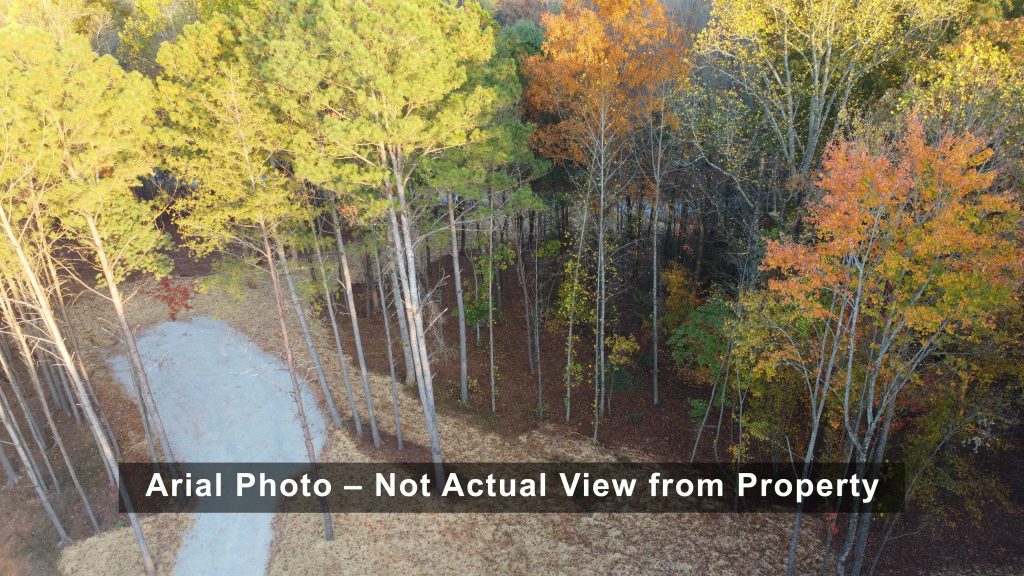 Lot 1 Mount Springer Rd Ellijay GA Air 8