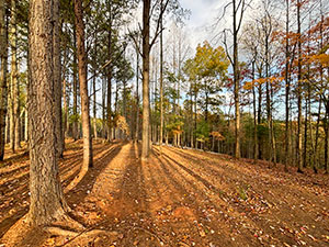 Lot 1 Mount Springer Rd Ellijay GA photo thb