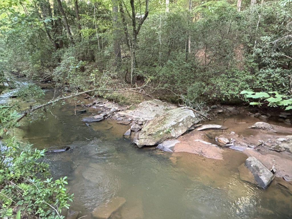 Lot 6 Mt Springer Rd 12