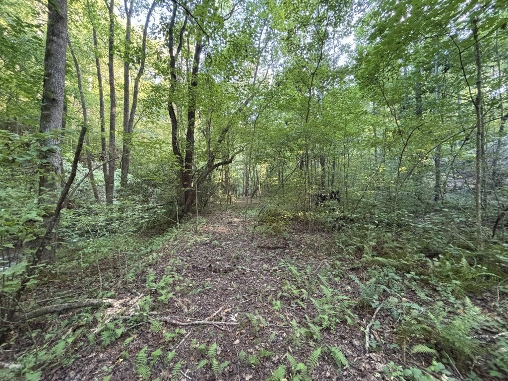 Lot 6 Mt Springer Rd 12a