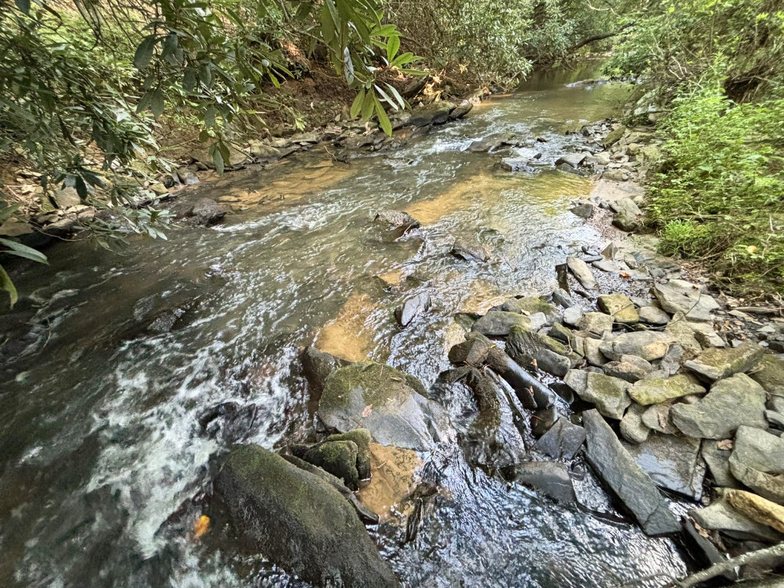 LOT 6 Mt Springer Rd - Land For Sale In Ellijay GA | appalachias