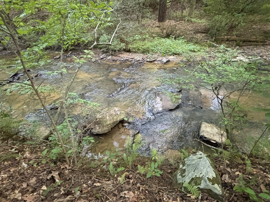 Lot 6 Mt Springer Rd 20