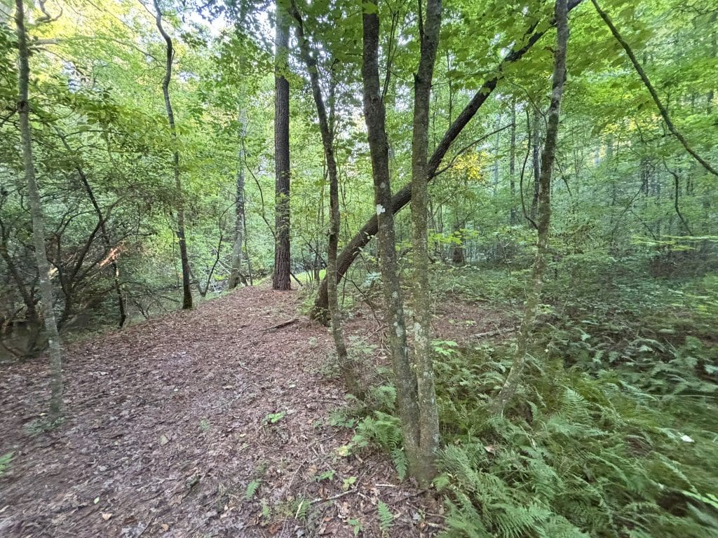 Lot 6 Mt Springer Rd 22a