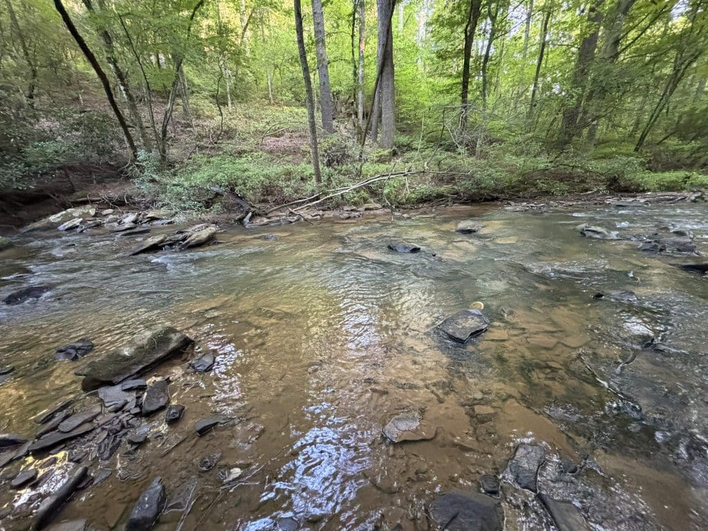 Lot 6 Mt Springer Rd 23