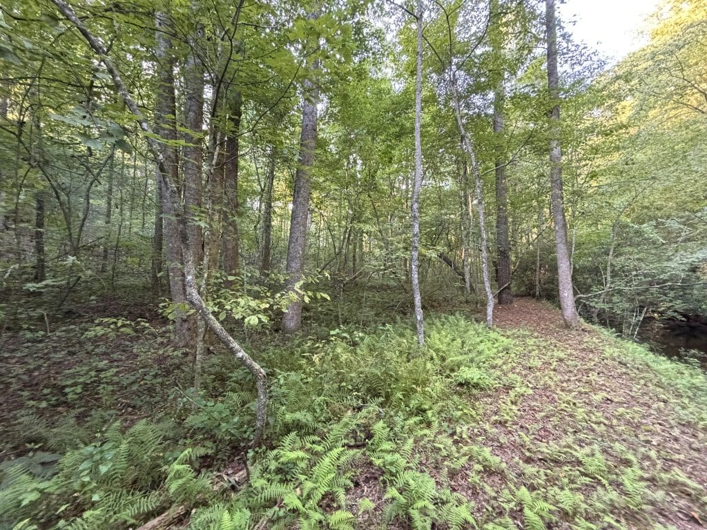 Lot 6 Mt Springer Rd 23a
