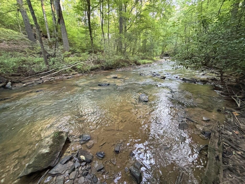 Lot 6 Mt Springer Rd 25