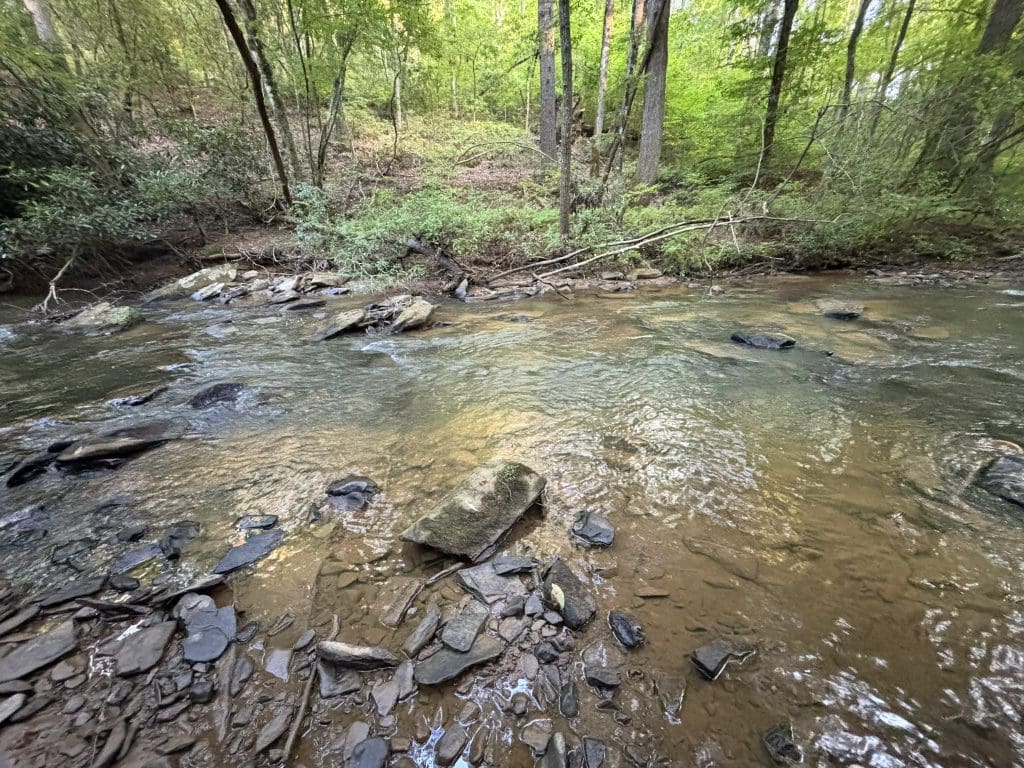 Lot 6 Mt Springer Rd 27