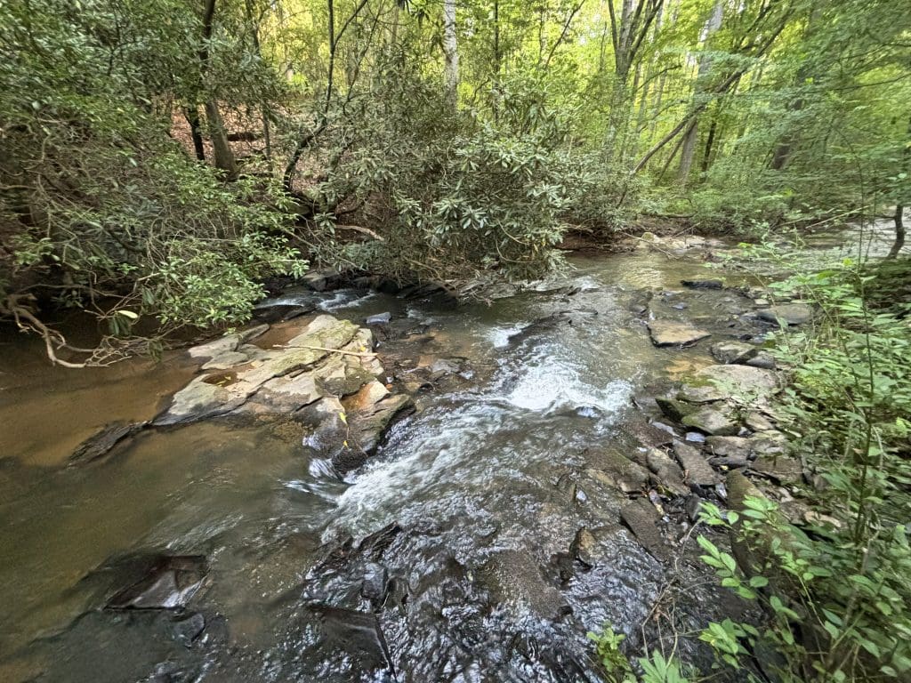 Lot 6 Mt Springer Rd 32