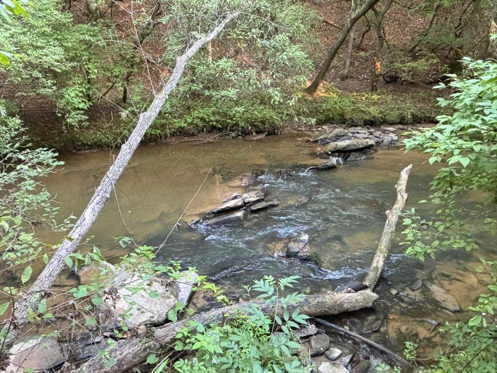 Lot 6 Mt Springer Rd 37