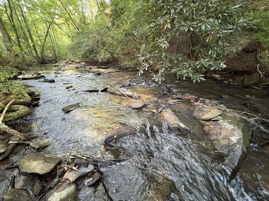 Lot 6 Mt Springer Rd 4