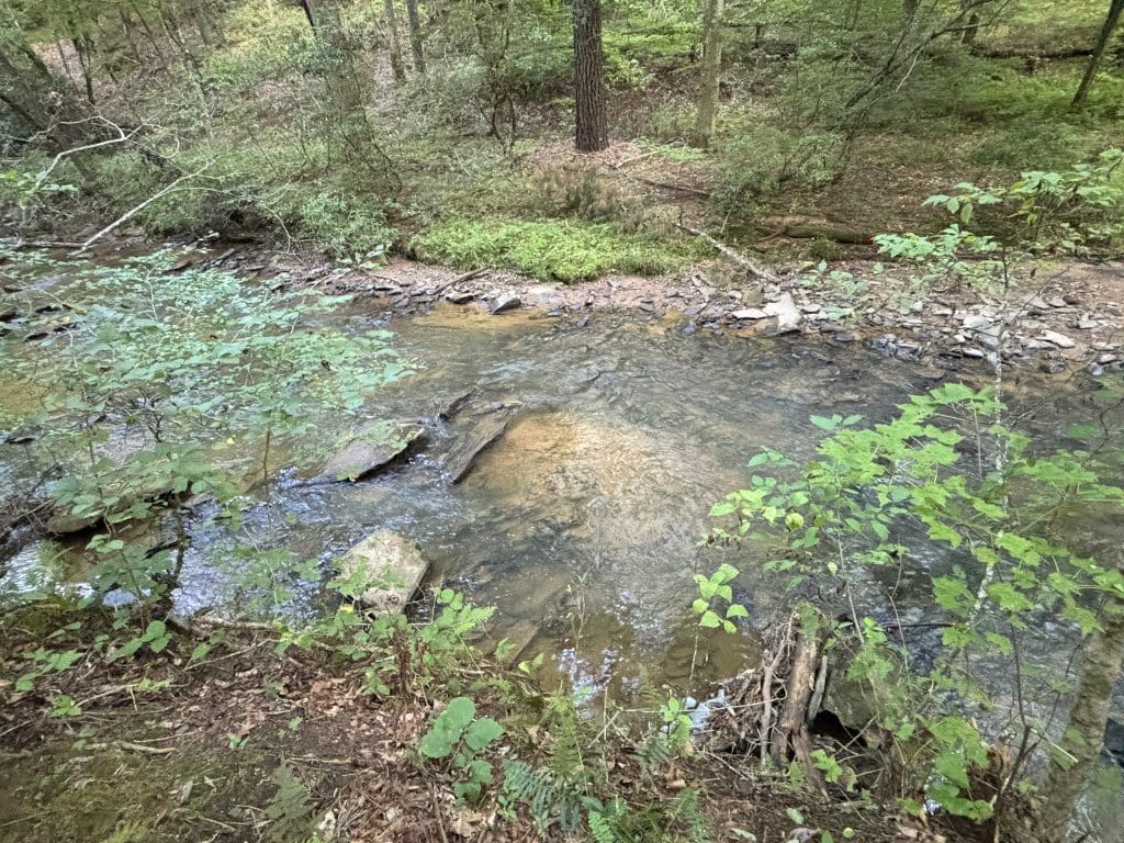 Lot 6 Mt Springer Rd 9