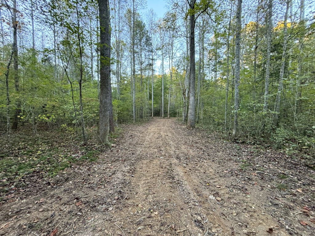 Lot 9 Mt Springer Rd Ellijay GA 11