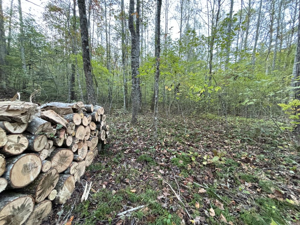 Lot 9 Mt Springer Rd Ellijay GA 12