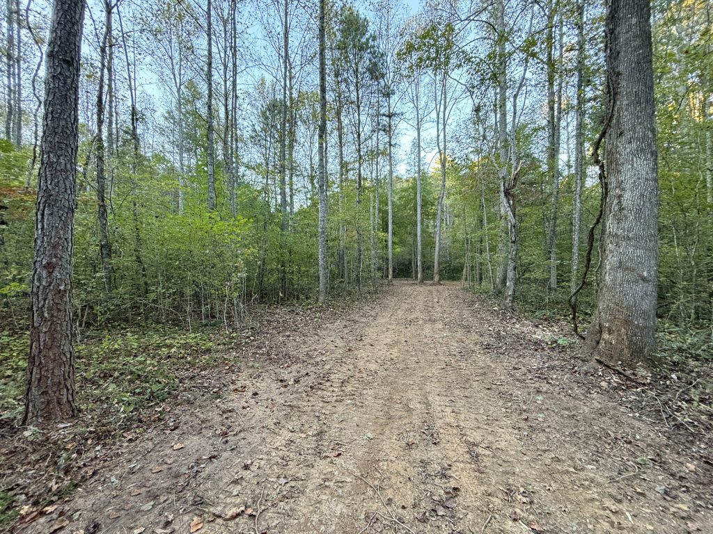 Lot 9 Mt Springer Rd Ellijay GA 13