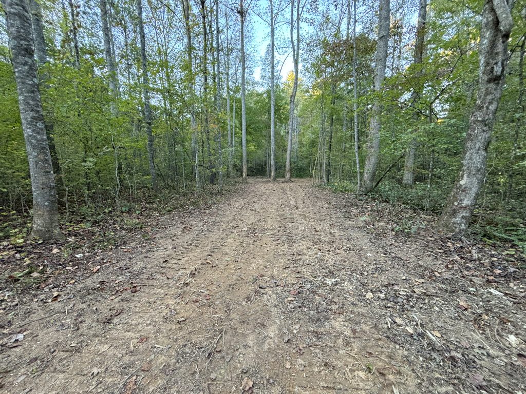 Lot 9 Mt Springer Rd Ellijay GA 14