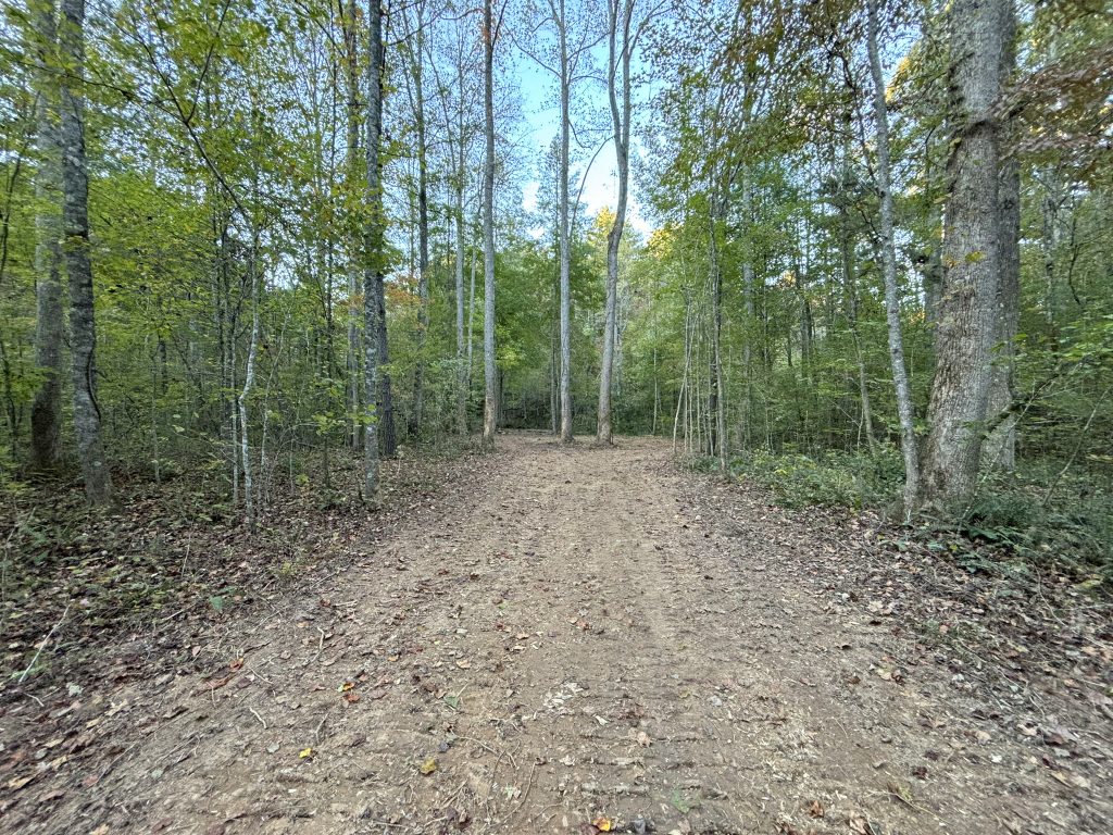 Lot 9 Mt Springer Rd Ellijay GA 15