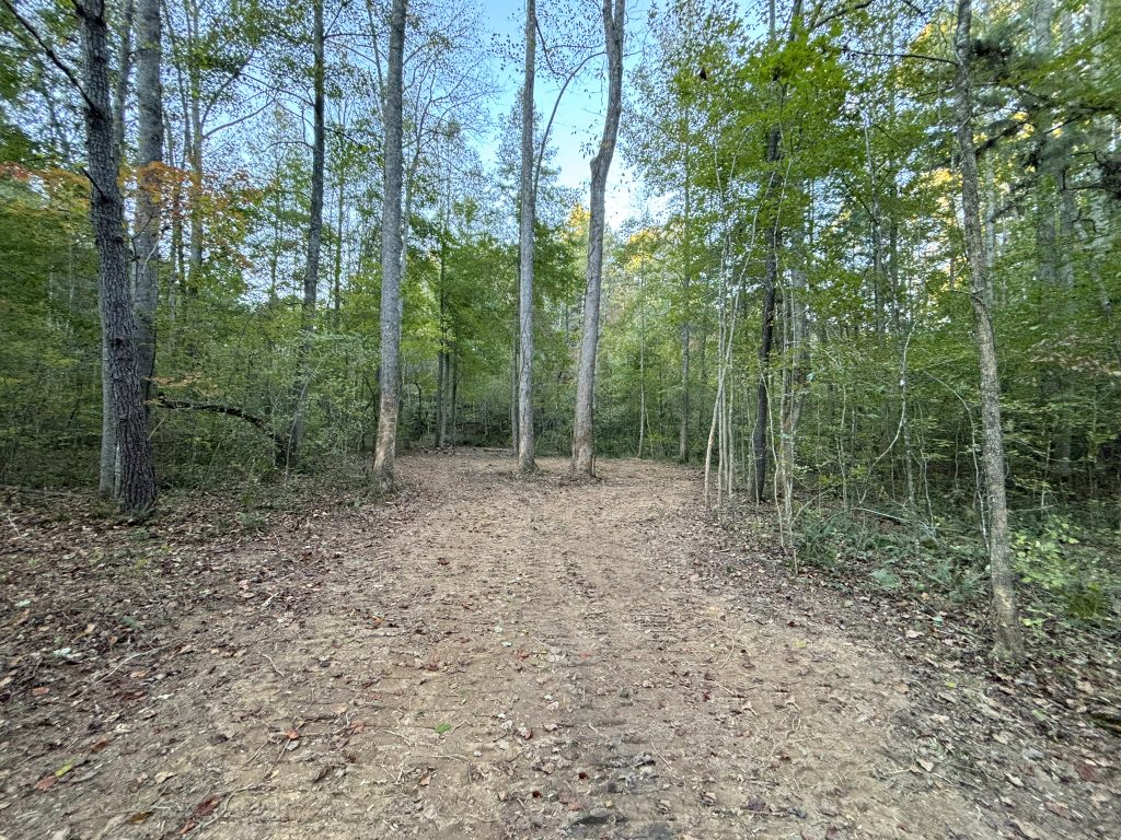 Lot 9 Mt Springer Rd Ellijay GA 16