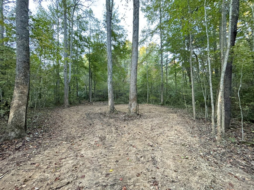 Lot 9 Mt Springer Rd Ellijay GA 17