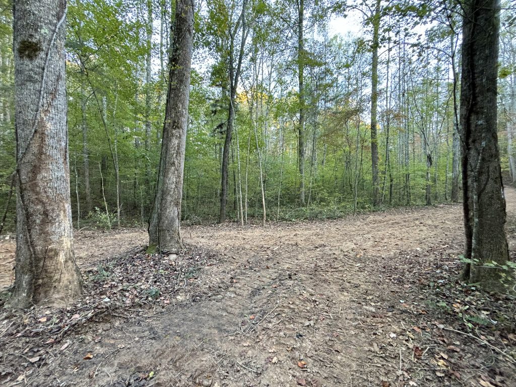 Lot 9 Mt Springer Rd Ellijay GA 18
