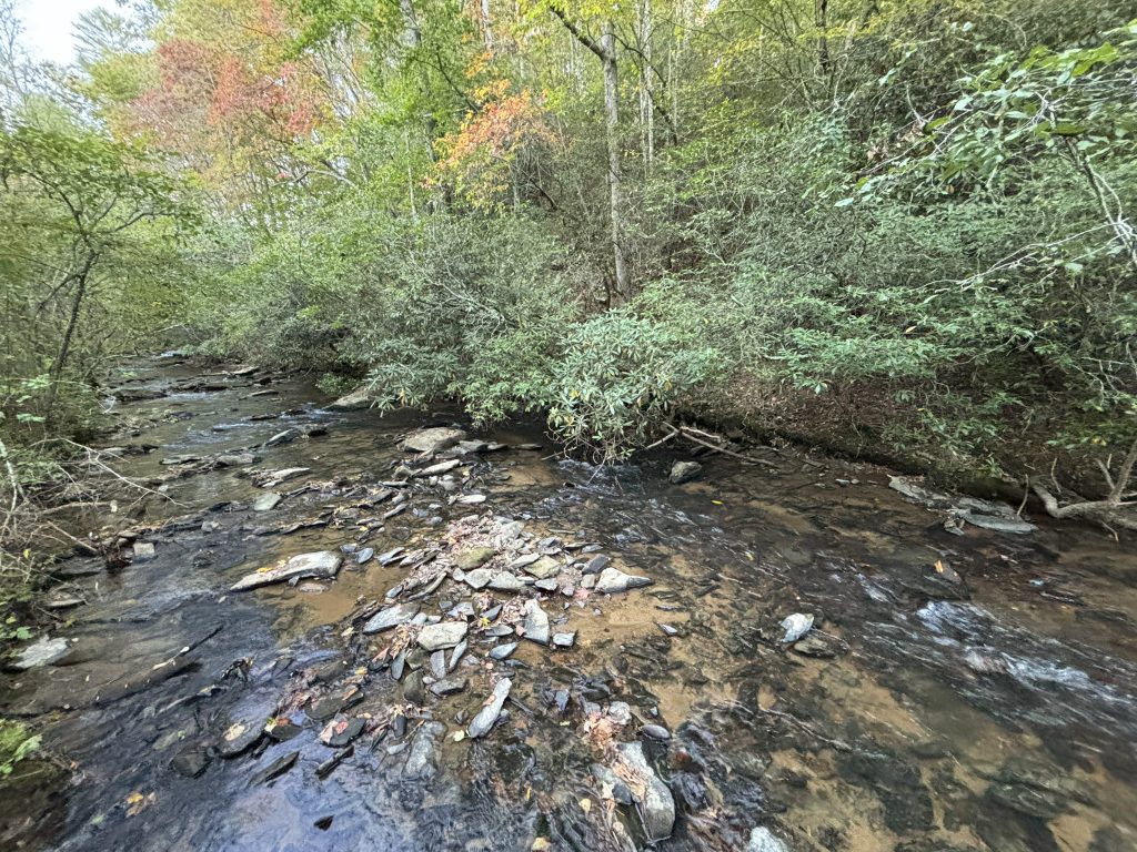 Lot 9 Mt Springer Rd Ellijay GA 2