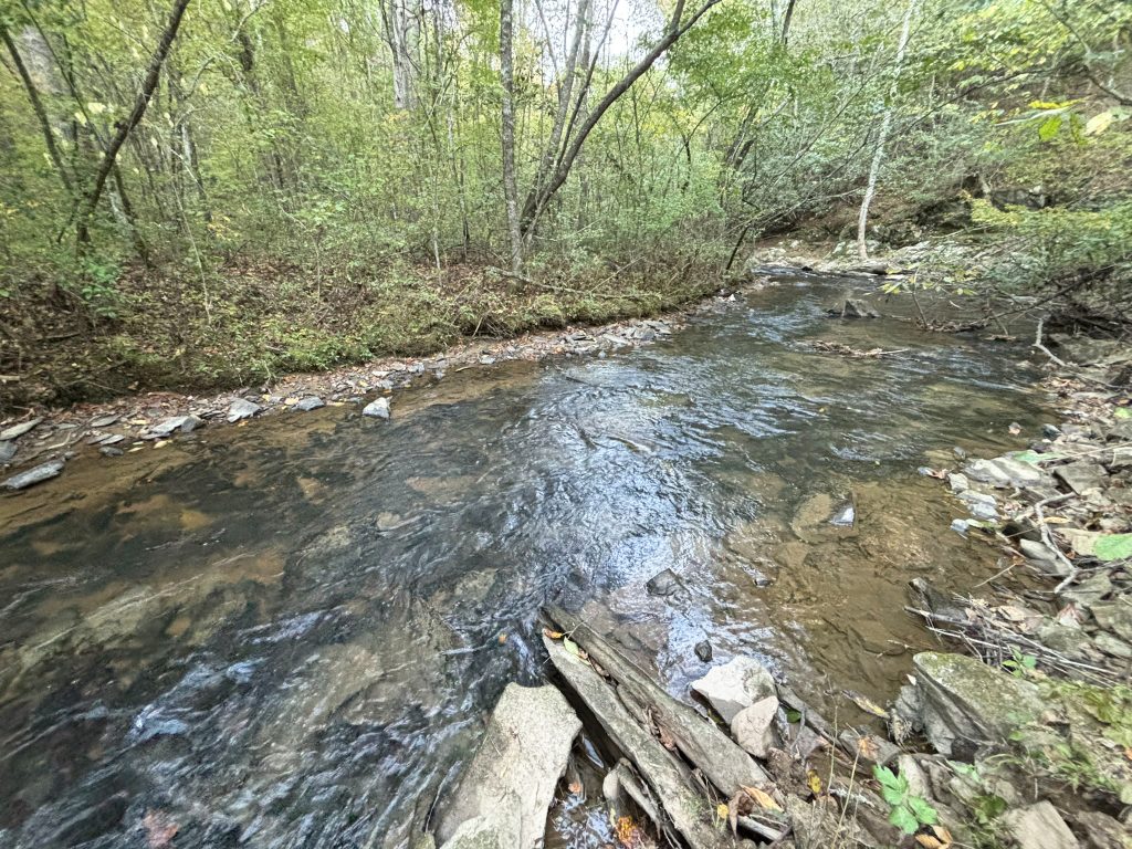 Lot 9 Mt Springer Rd Ellijay GA 23