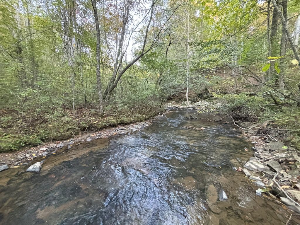 Lot 9 Mt Springer Rd Ellijay GA 24