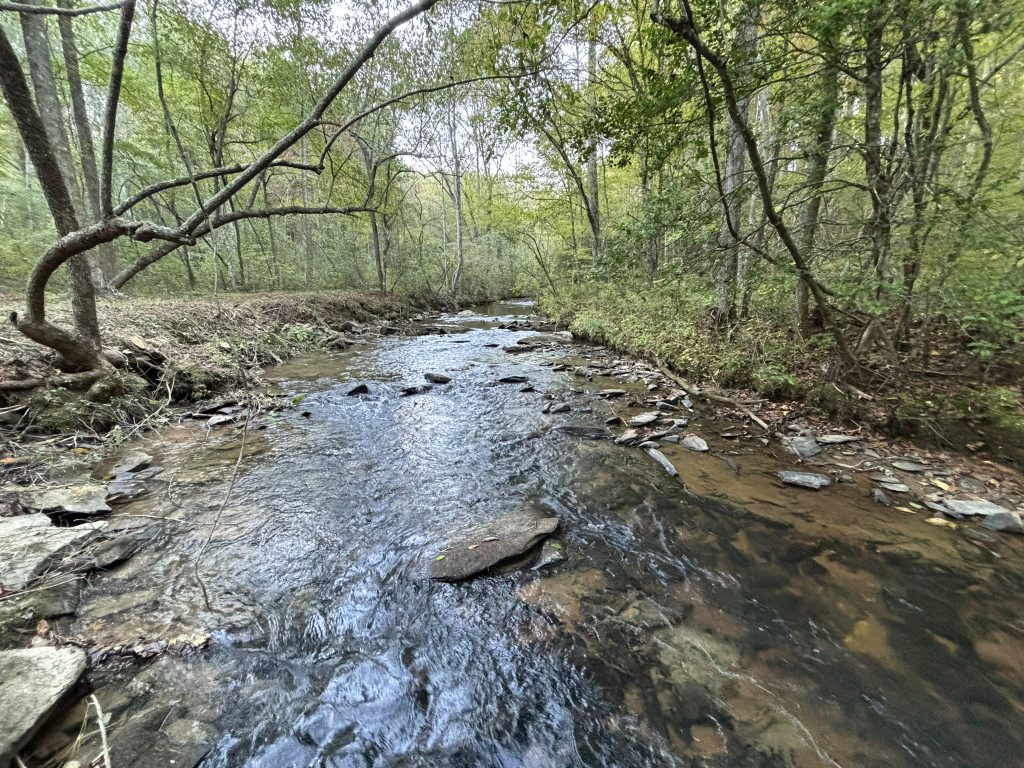 Lot 9 Mt Springer Rd Ellijay GA 25