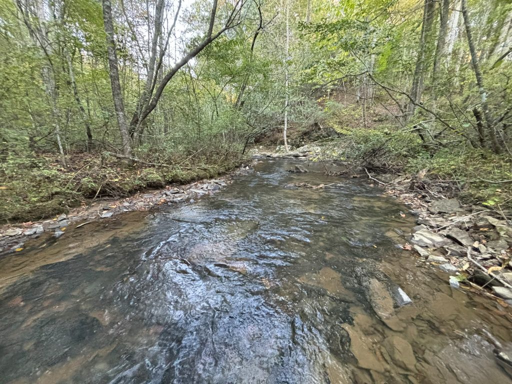 Lot 9 Mt Springer Rd Ellijay GA 26